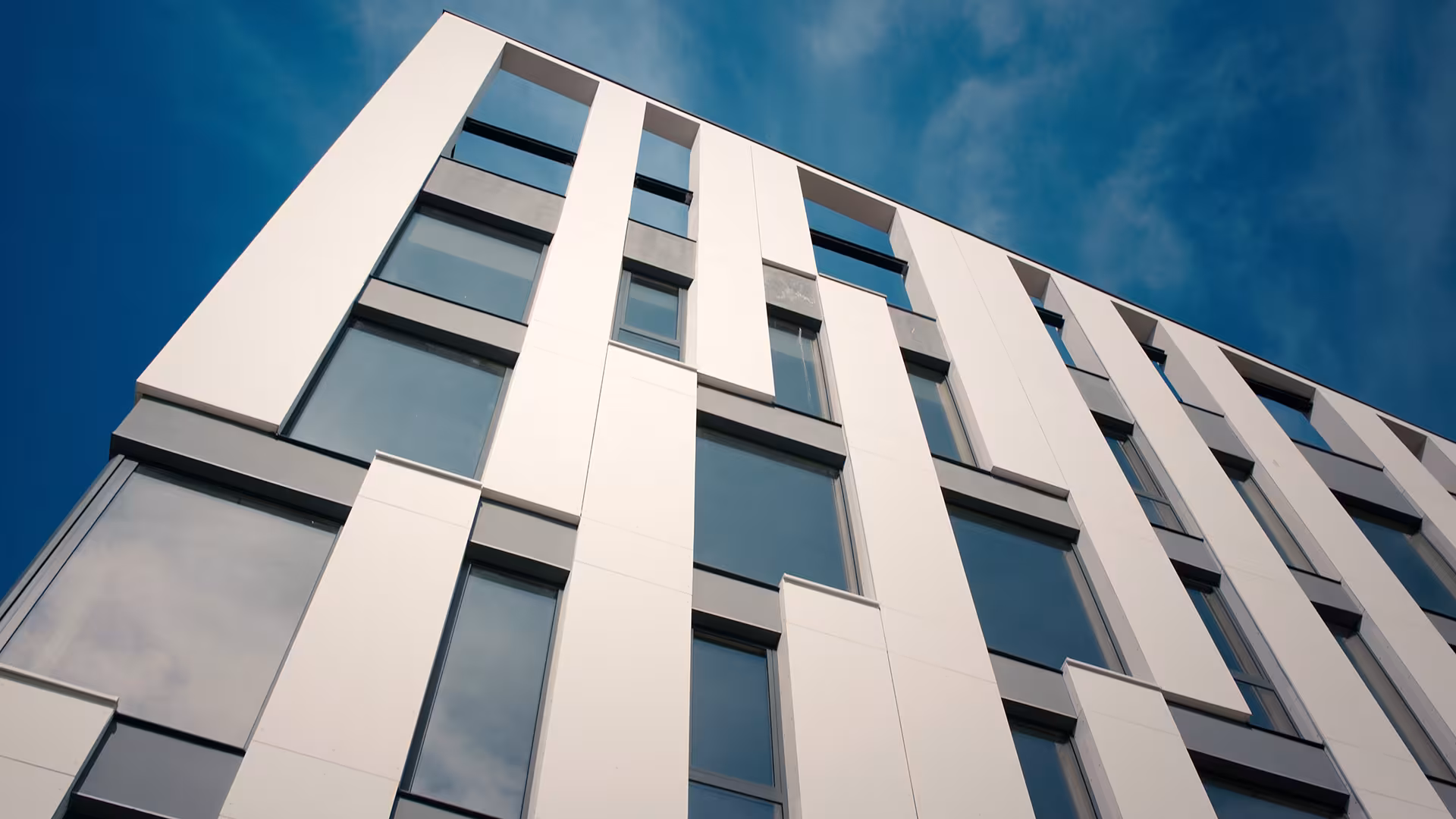  Liceul ELF 2022: Teaser